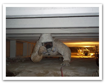 AM PM Environmental Mold Removal